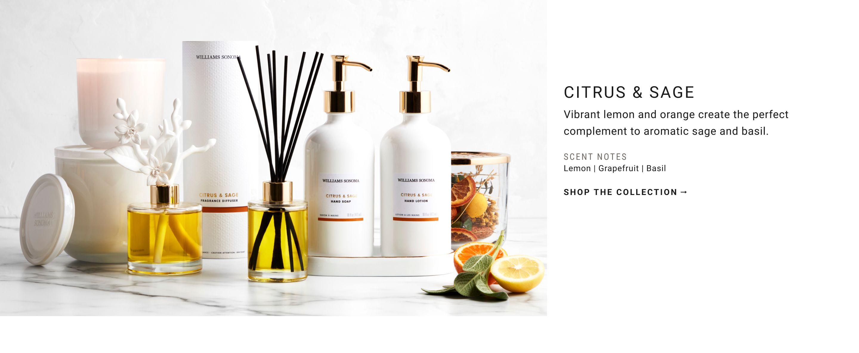 CITRUS & SAGE | Vibrant lemon and orange create the perfect complement to aromatic sage and basil. | SHOP THE COLLECTION